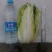 大白菜