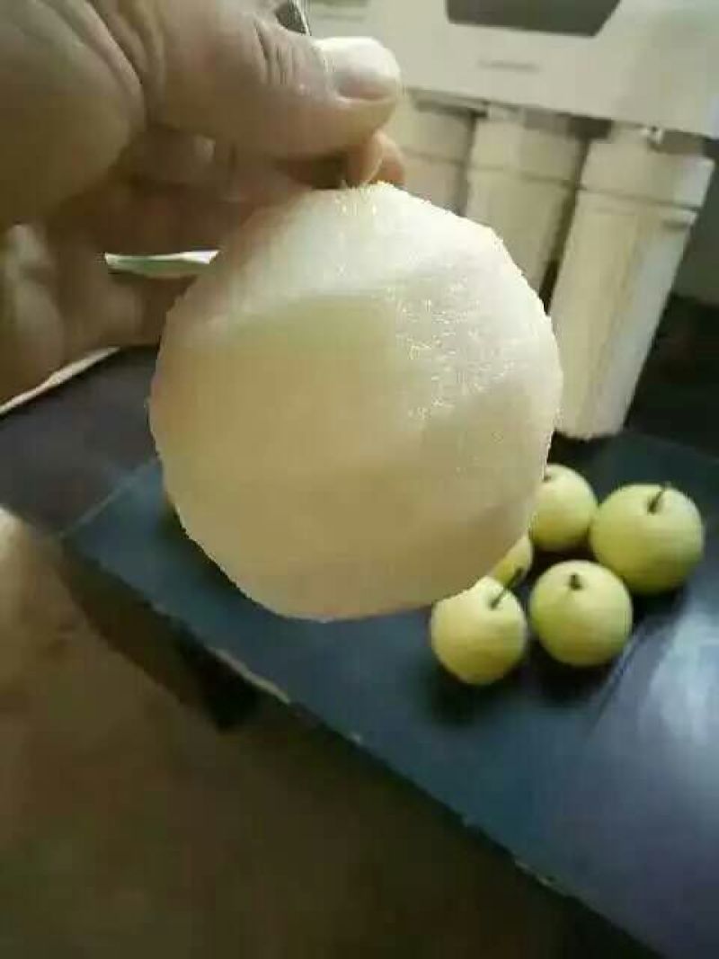 酥梨200~250g纸袋