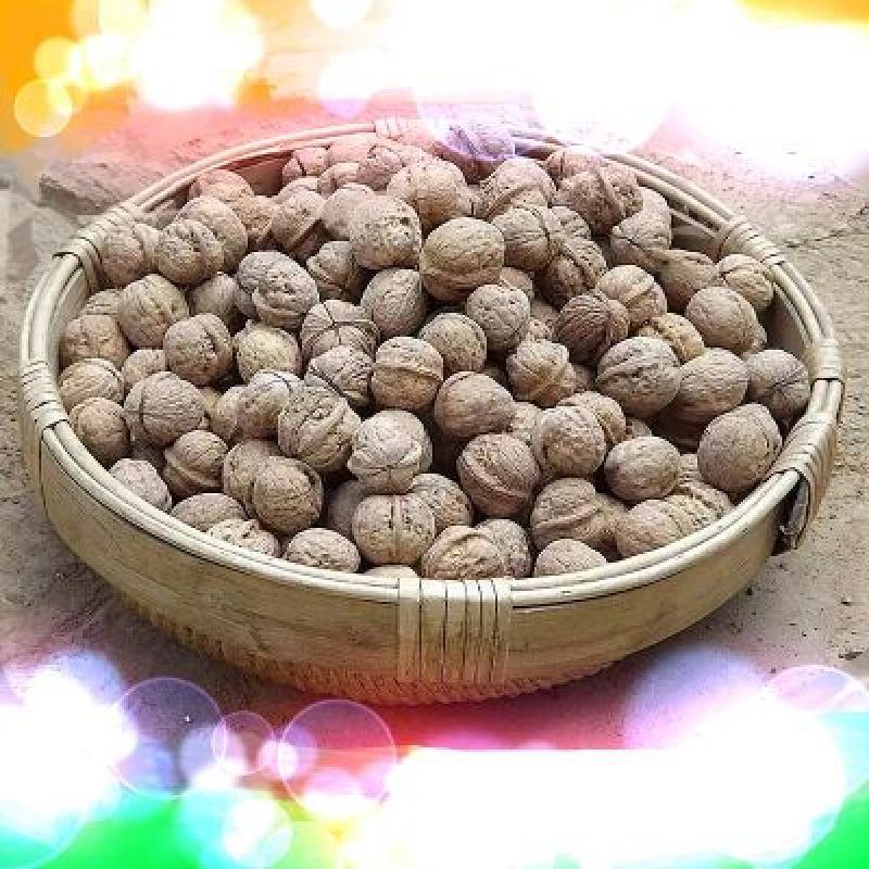 野生核桃去皮干