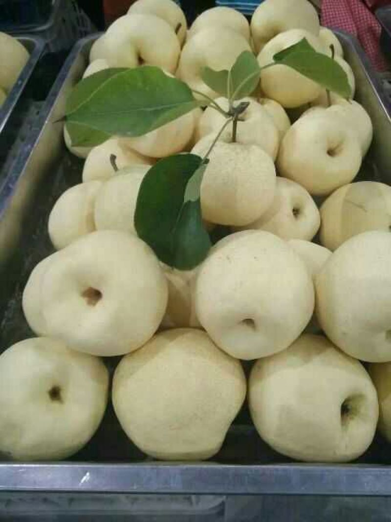 梨300~350g纸箱
