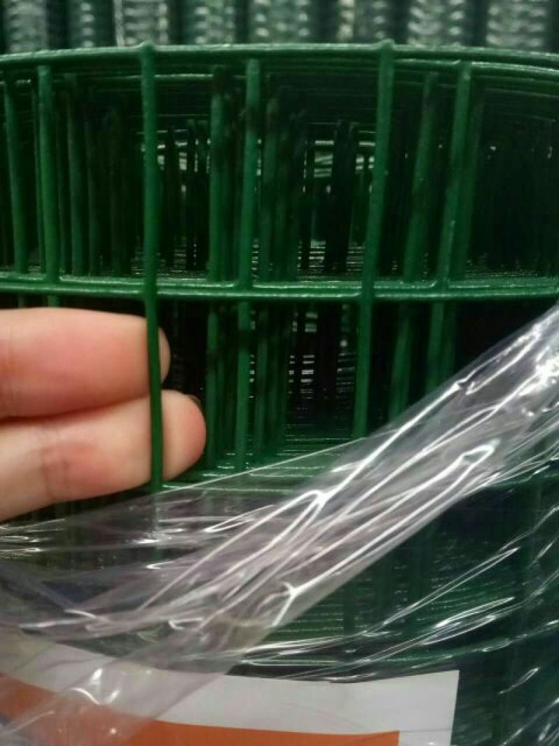 荷兰网