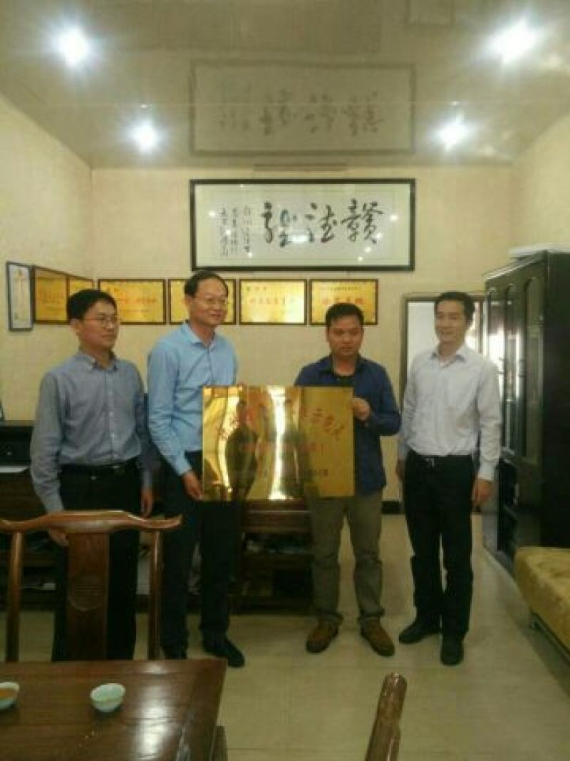 绿壳蛋鸡苗