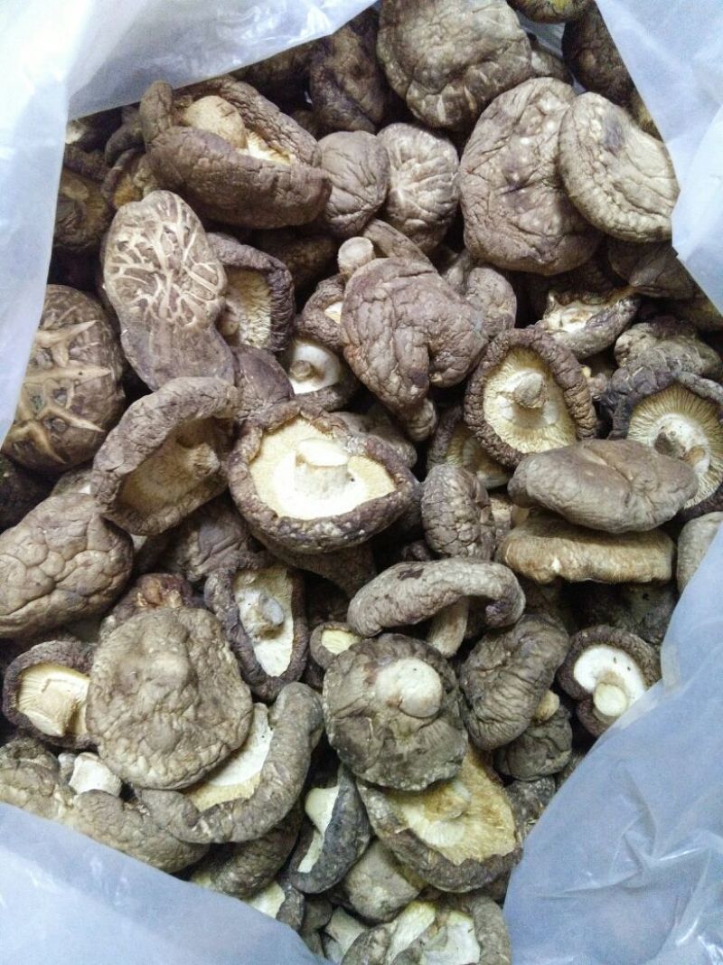 干香菇