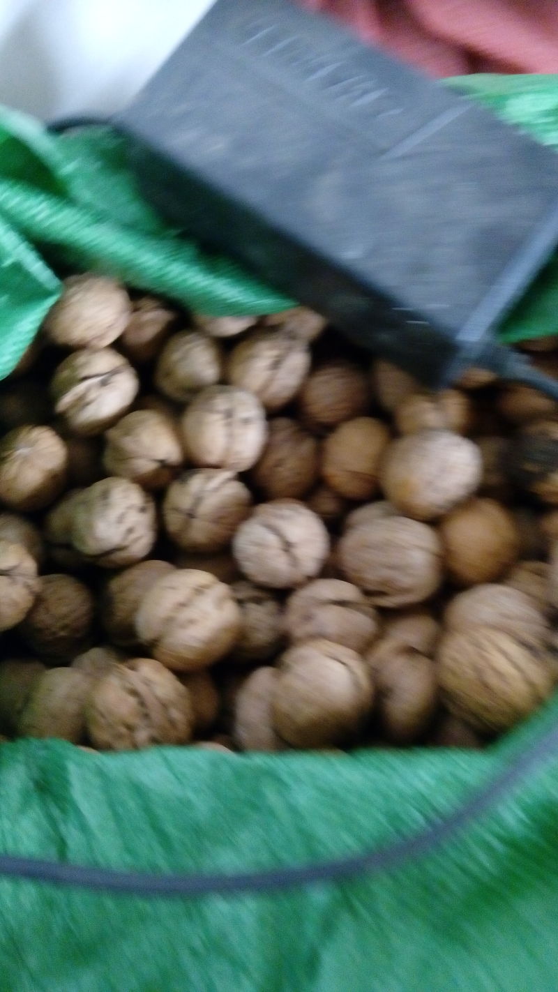 绵核桃去皮干