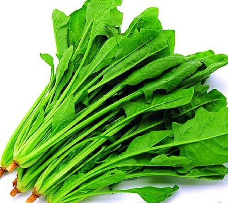 大叶菠菜
