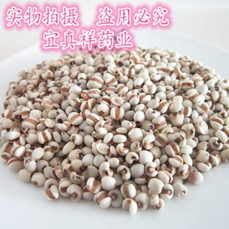薏苡仁