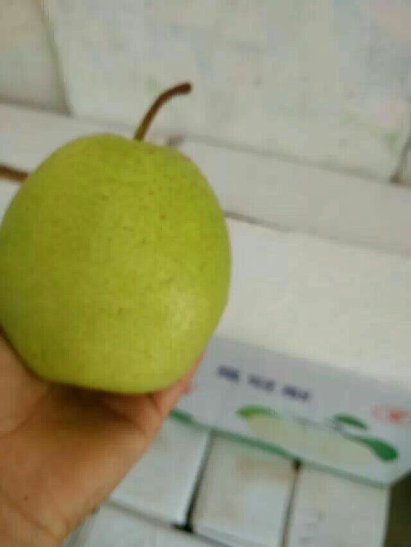 皇冠梨