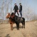肉马400~500kg