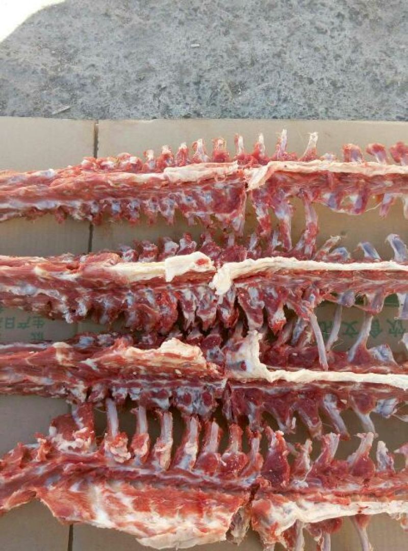 羊龙骨是绵羊肉
