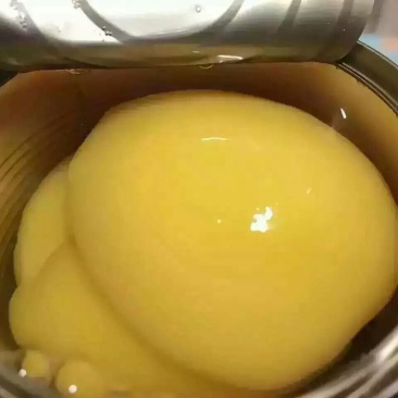黄桃罐头