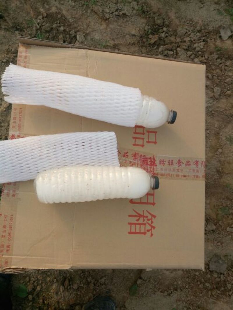 傲冠602015~20厘米