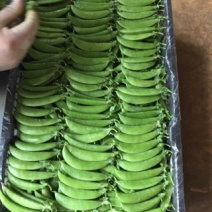 甜豆