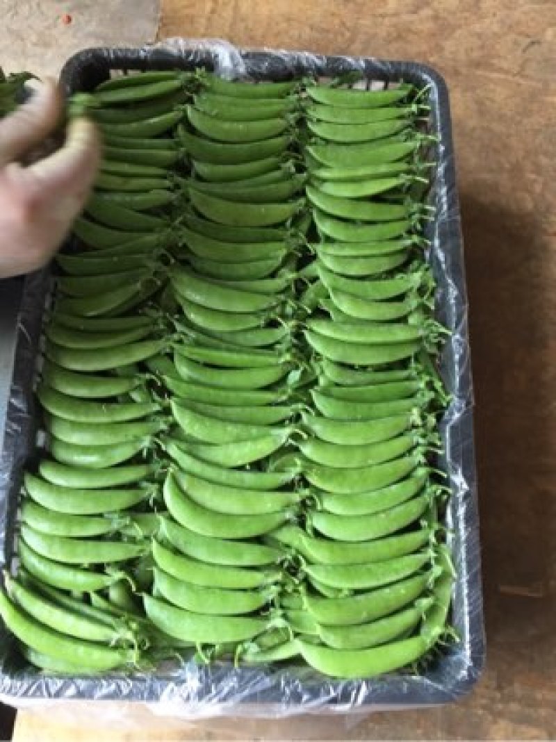 甜豆