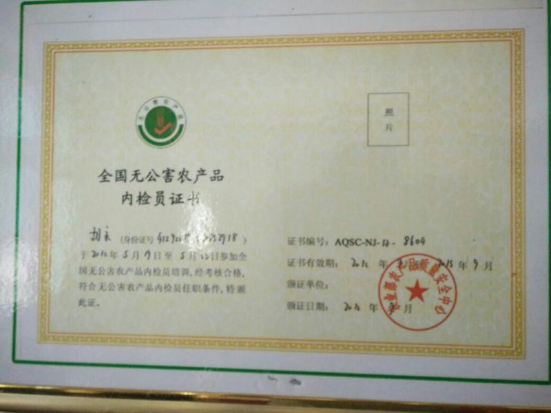 黄金梨200~250g纸袋