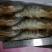 青虾食用13~15只/kg