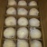 砀山梨250~300g纸袋