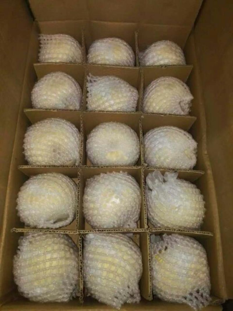 砀山梨250~300g纸袋