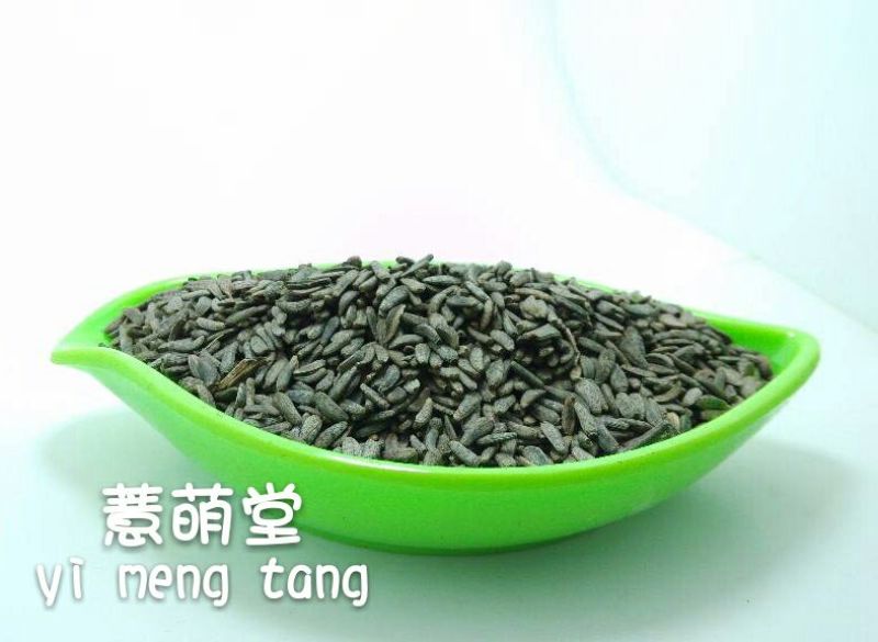 牛籽