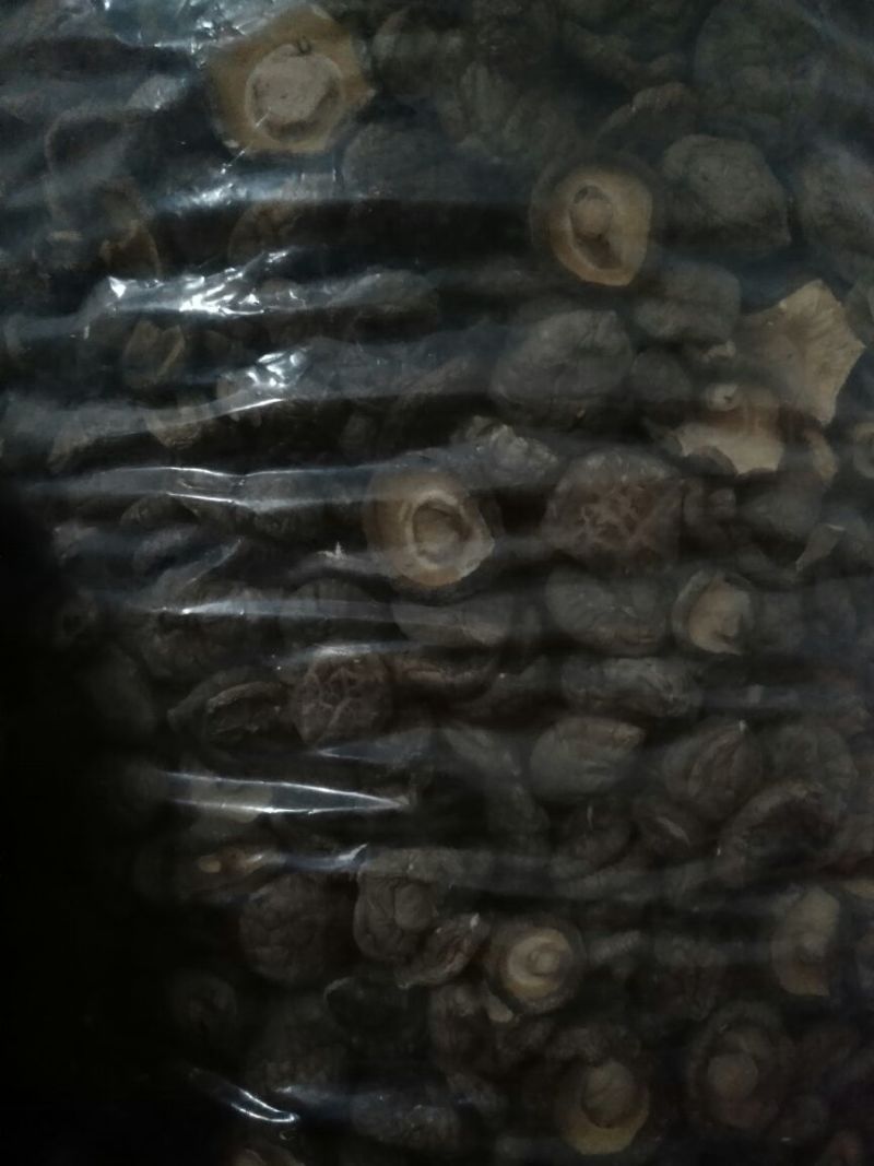 干香菇3cm以上