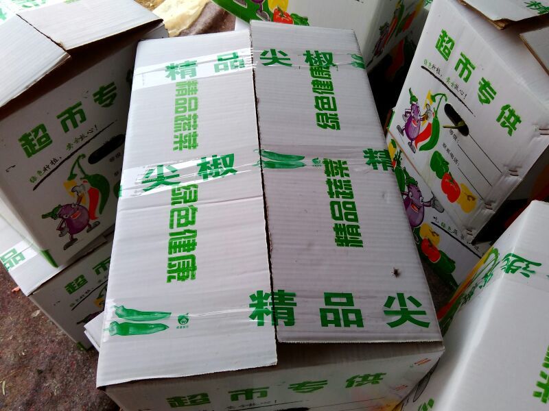 【诚信企业】辣椒喜羊羊优质辣椒众鑫天天鲜果蔬专业合作社