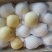 皇冠梨550~600g纸加膜