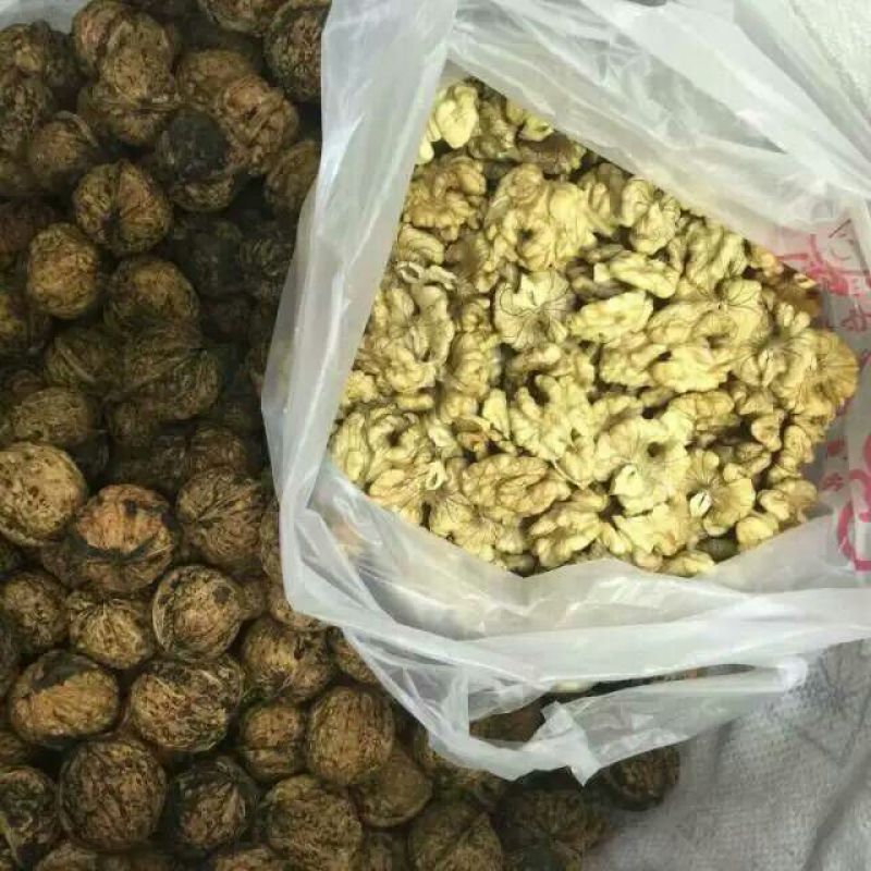 纸皮核桃去皮干