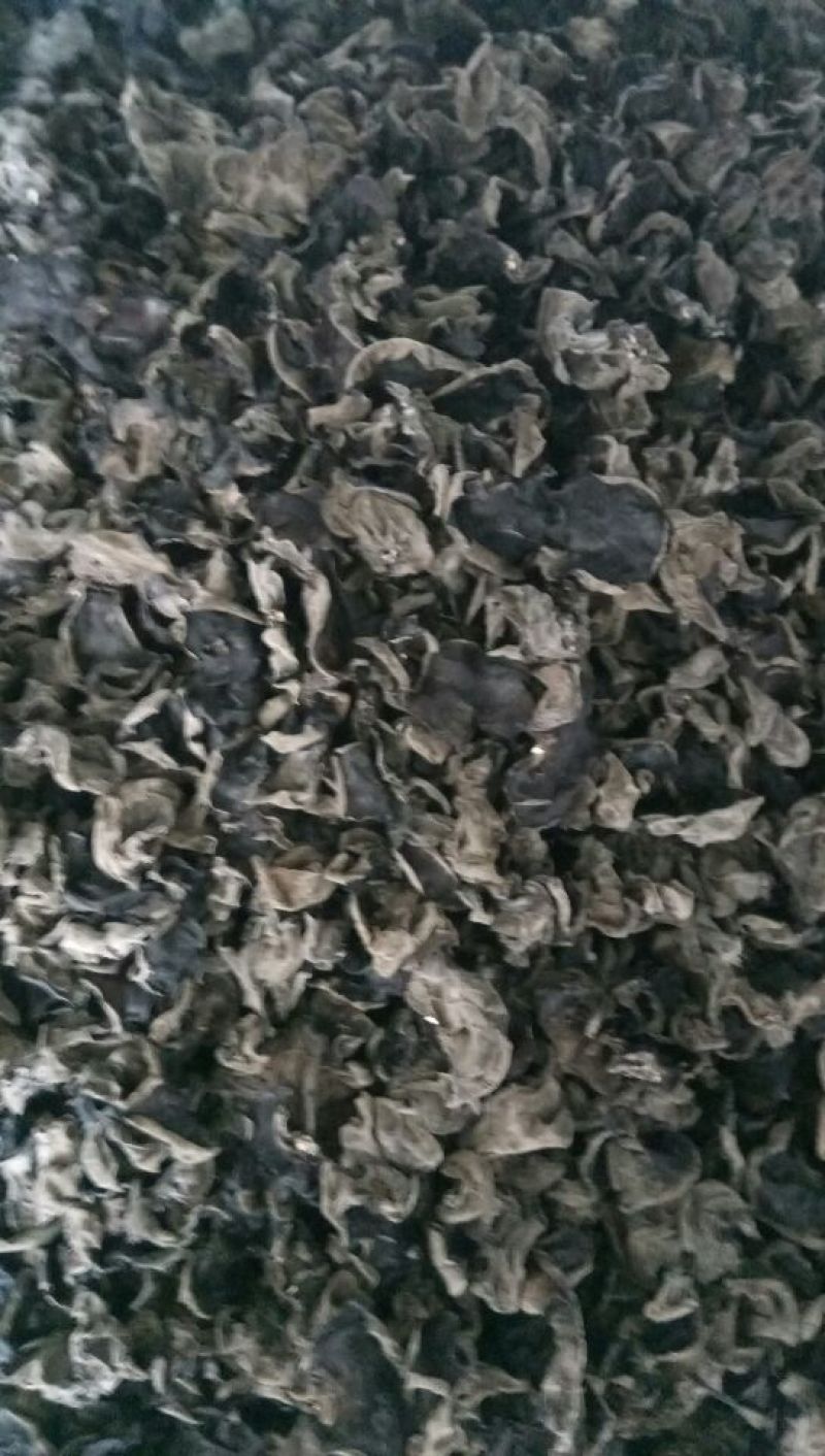 黑木耳特级