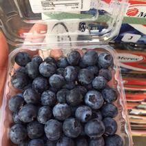 国产云南蓝莓智利秘鲁蓝莓