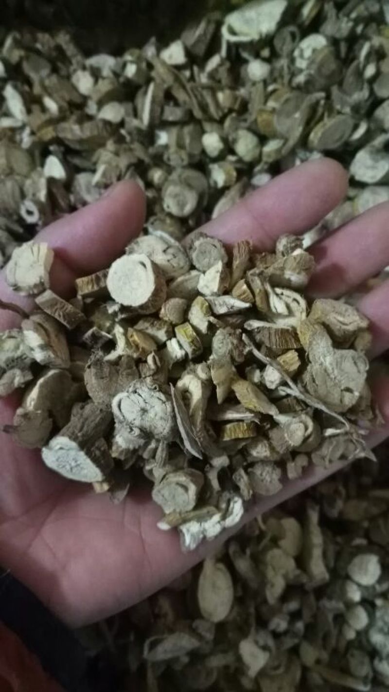 苦参统货