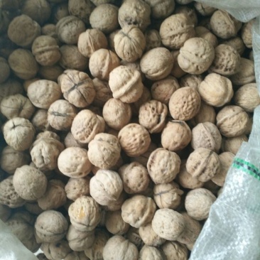 核桃去皮