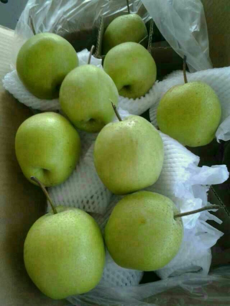 皇冠梨
