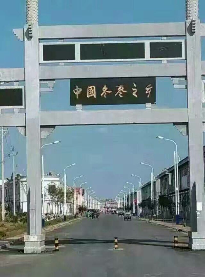 沾化冬枣，对接平台，直供超市又甜又脆的冬枣上市了，有需