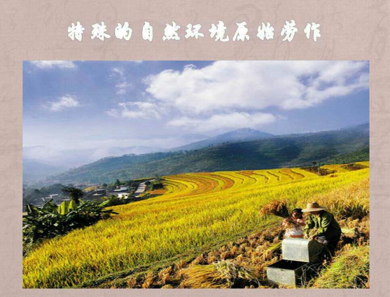 米线