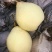 鸭梨350~400g纸加膜