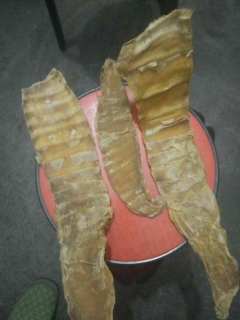 笋干淡笋干