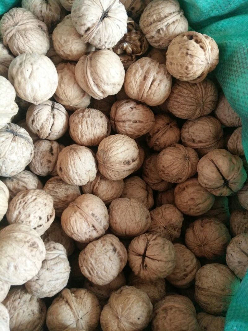 薄皮核桃去皮干