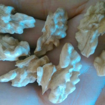 薄皮核桃去皮