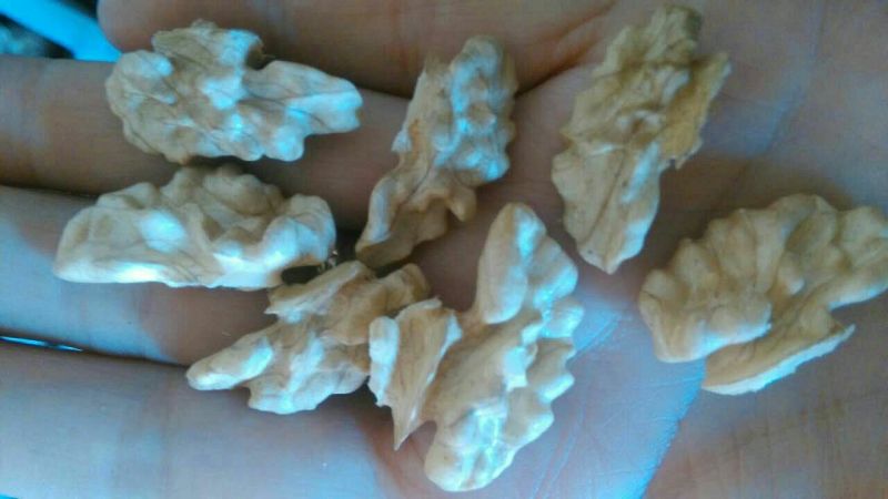 薄皮核桃去皮