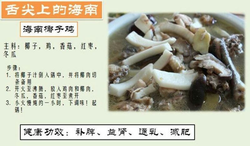 高种椰子2~2.5斤