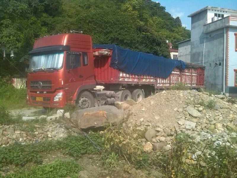 广东徐闻新苗苟葛白地瓜应季节凉薯沙苟