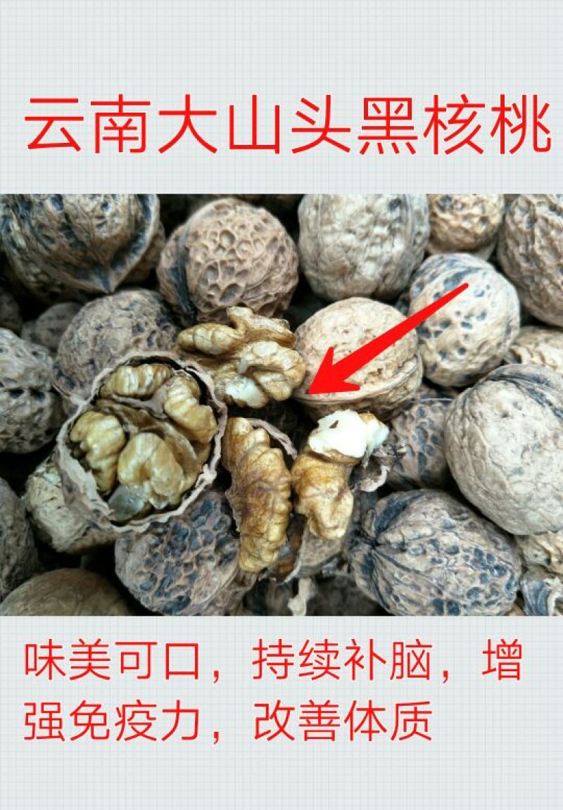 山核桃30mm以上去皮干