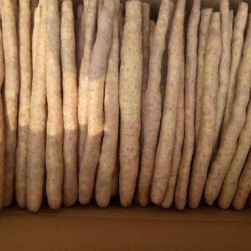 小白嘴白山药2~3厘米30~35厘米