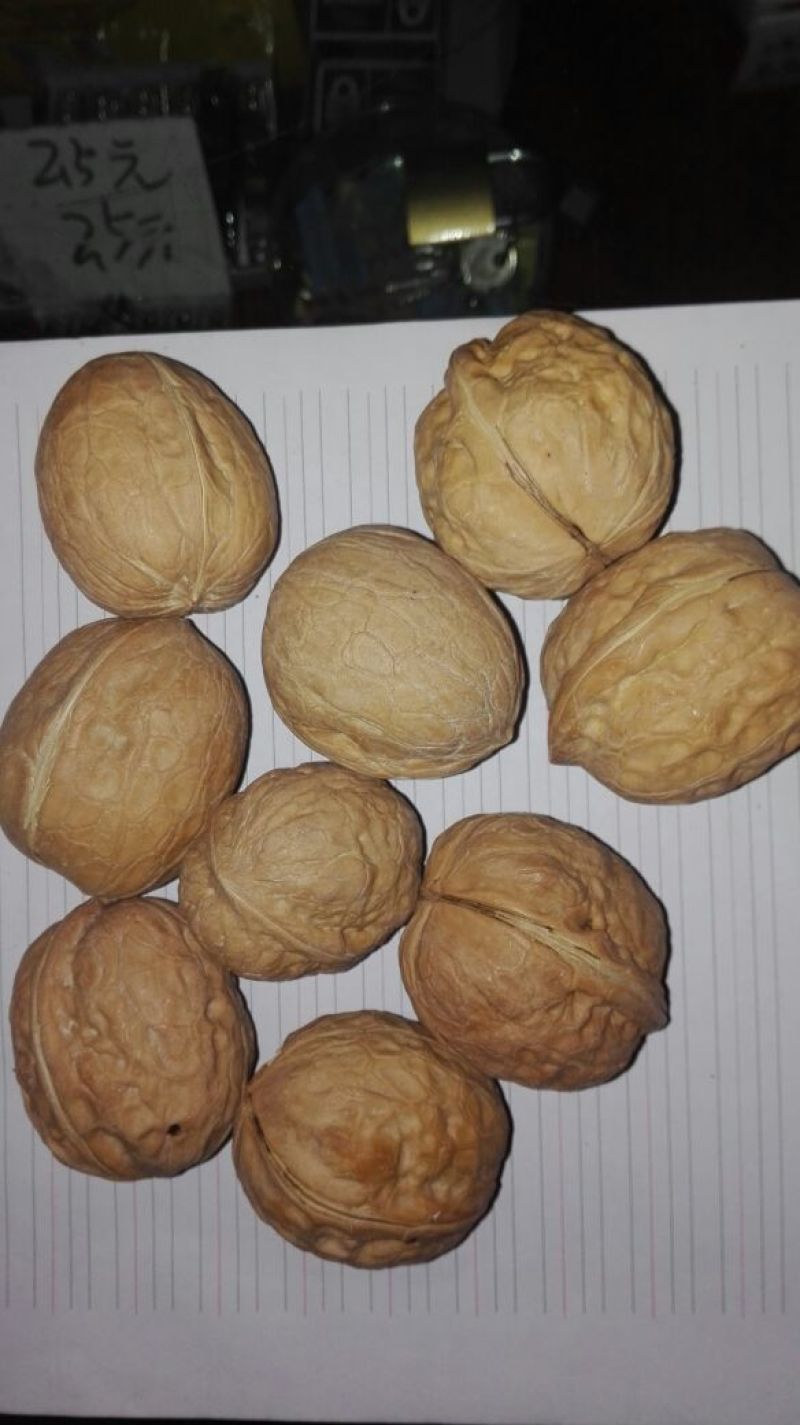 薄皮核桃30mm以上青皮
