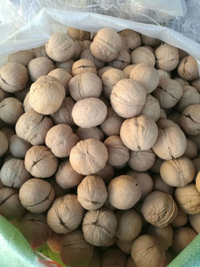 薄皮核桃30mm以上去皮干