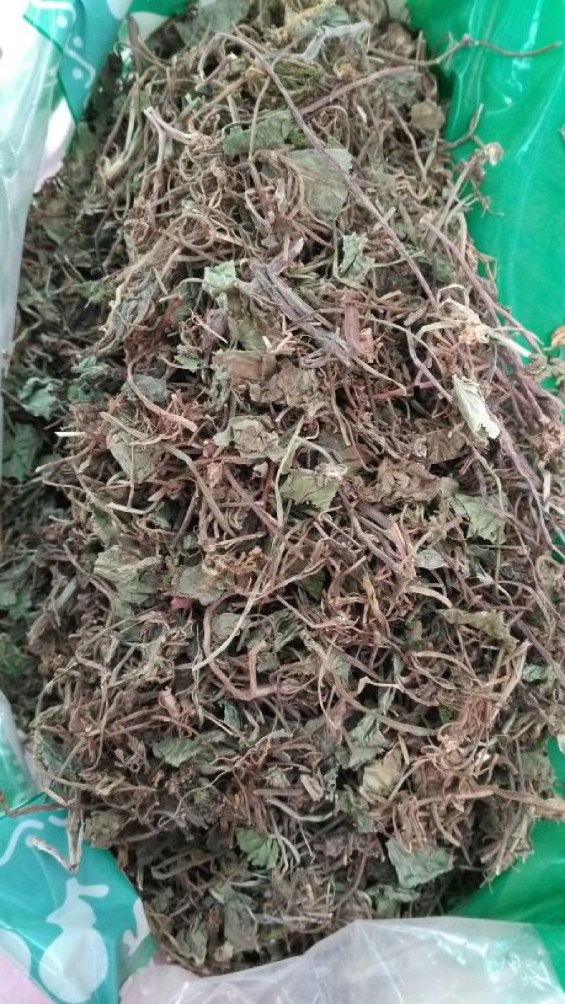 积雪草
