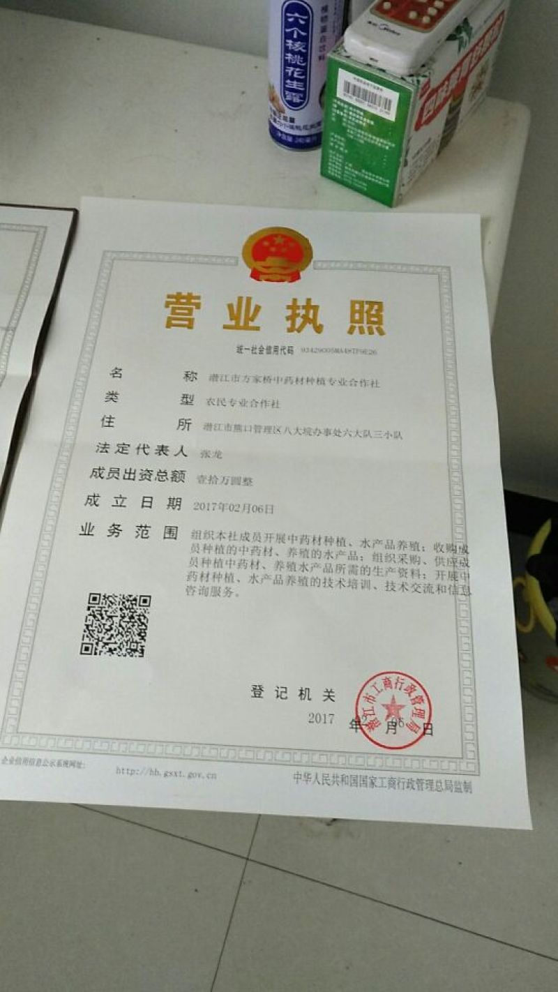旱半夏种子98%以上