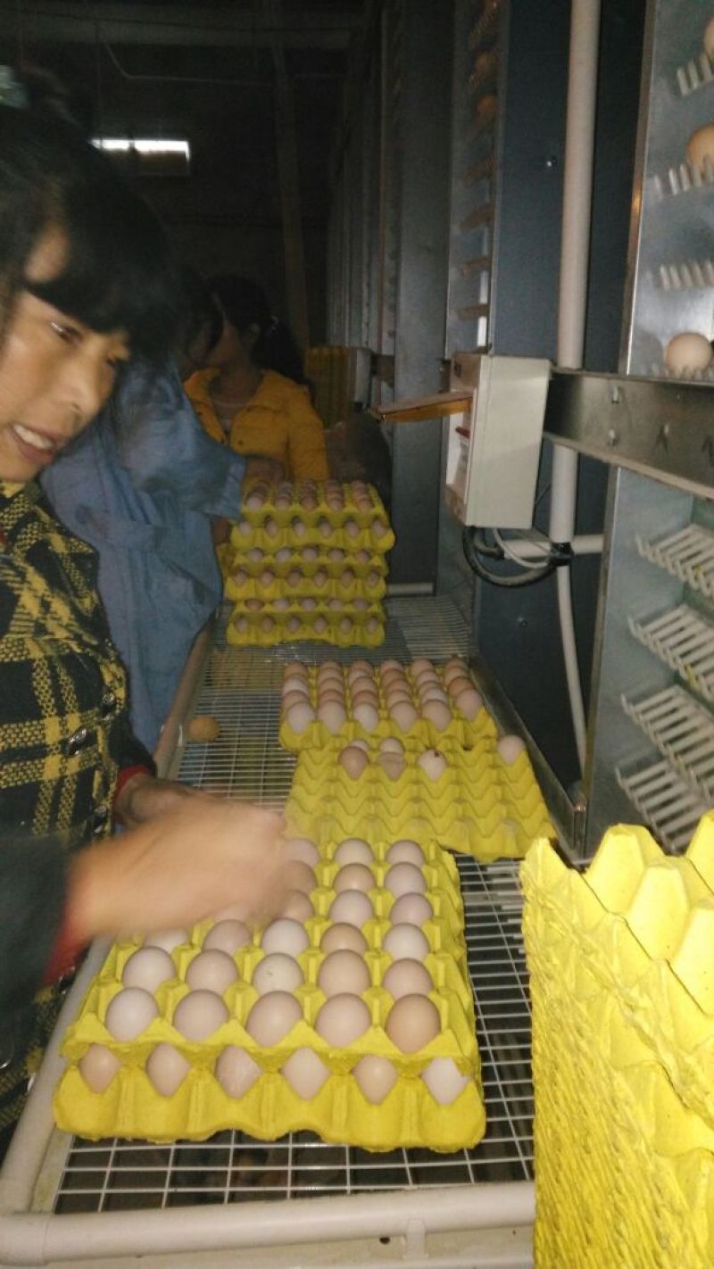 粉蛋食用50g以下