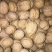 薄皮核桃25mm以下去皮干