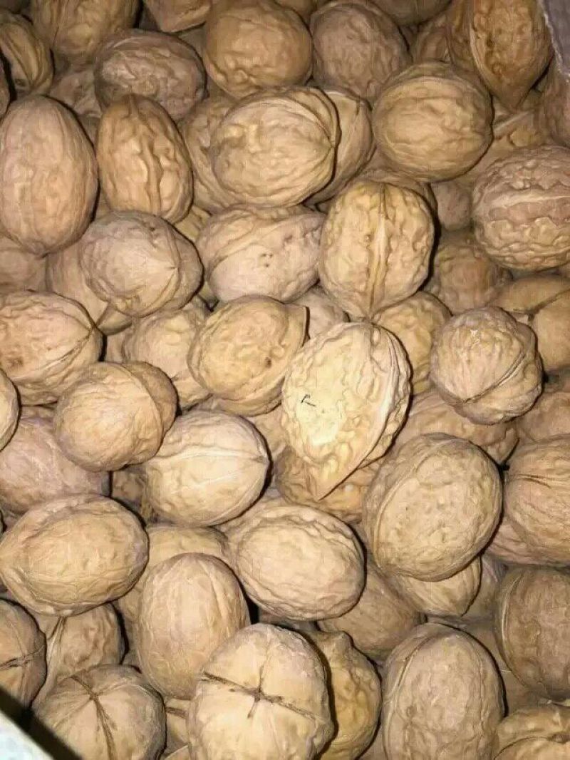 薄皮核桃25mm以下去皮干