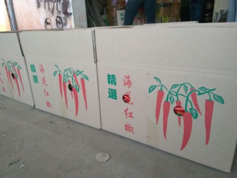 鲜辣椒海花红美人椒，广东湛江产地直供价钱优惠